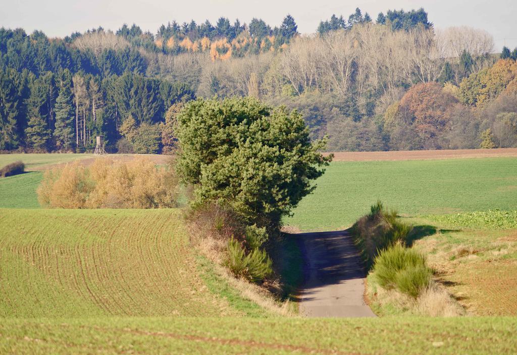 Saarlandtraum Weihermuehle Schmelz Exterior photo
